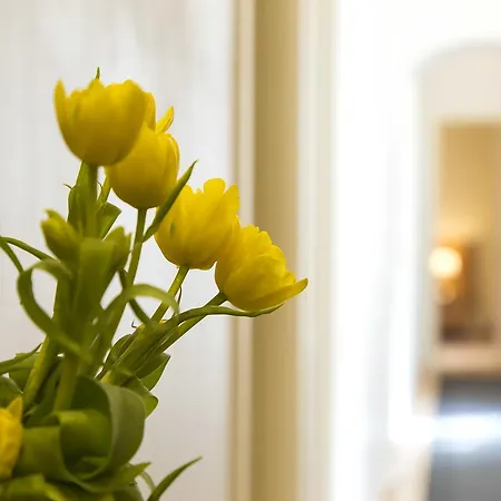 Guest house Venere *